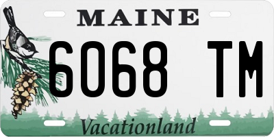 ME license plate 6068TM