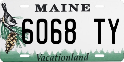 ME license plate 6068TY