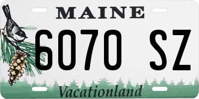 ME license plate 6070SZ