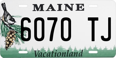 ME license plate 6070TJ