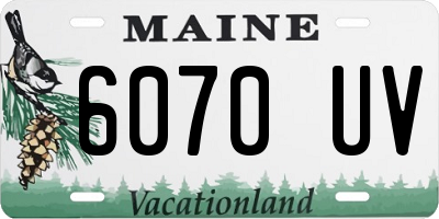 ME license plate 6070UV