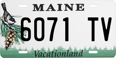 ME license plate 6071TV