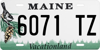 ME license plate 6071TZ