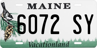 ME license plate 6072SY
