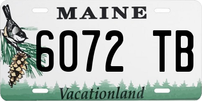 ME license plate 6072TB