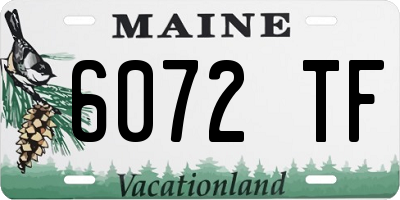 ME license plate 6072TF