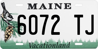 ME license plate 6072TJ