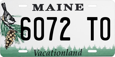 ME license plate 6072TO