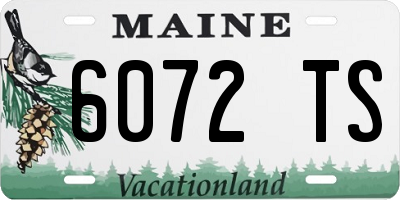 ME license plate 6072TS