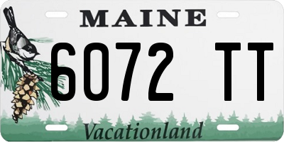 ME license plate 6072TT