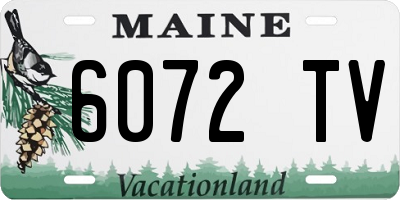 ME license plate 6072TV