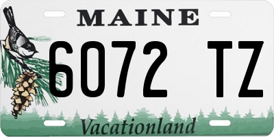 ME license plate 6072TZ