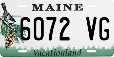 ME license plate 6072VG