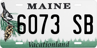 ME license plate 6073SB