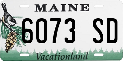 ME license plate 6073SD