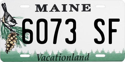 ME license plate 6073SF