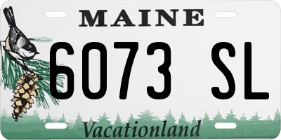 ME license plate 6073SL