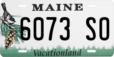 ME license plate 6073SO