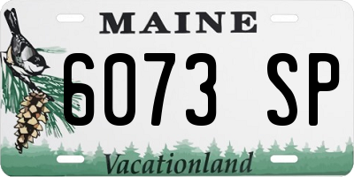 ME license plate 6073SP