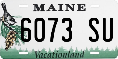 ME license plate 6073SU