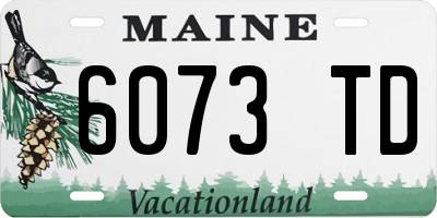 ME license plate 6073TD