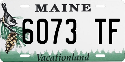 ME license plate 6073TF