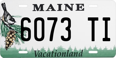 ME license plate 6073TI
