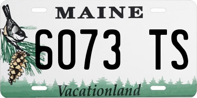 ME license plate 6073TS