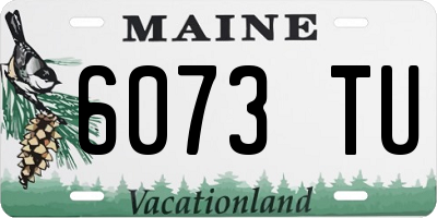 ME license plate 6073TU