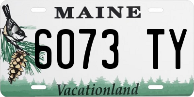 ME license plate 6073TY