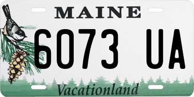 ME license plate 6073UA
