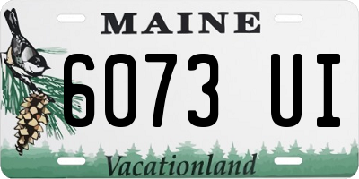 ME license plate 6073UI