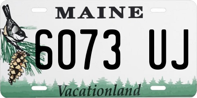 ME license plate 6073UJ