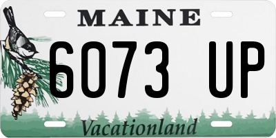 ME license plate 6073UP