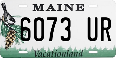 ME license plate 6073UR