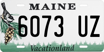 ME license plate 6073UZ