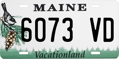 ME license plate 6073VD