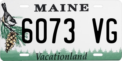 ME license plate 6073VG