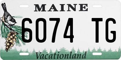 ME license plate 6074TG