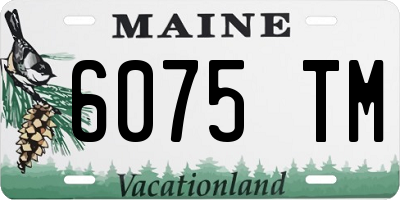 ME license plate 6075TM
