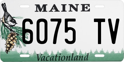 ME license plate 6075TV