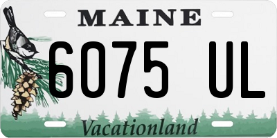 ME license plate 6075UL