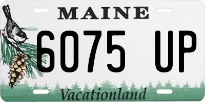 ME license plate 6075UP