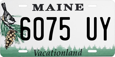 ME license plate 6075UY