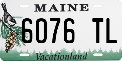 ME license plate 6076TL