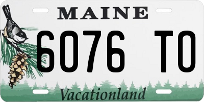 ME license plate 6076TO