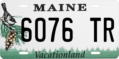 ME license plate 6076TR