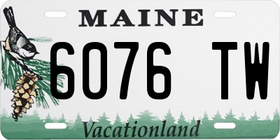 ME license plate 6076TW