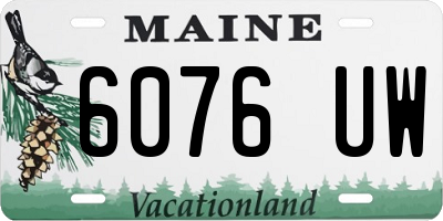 ME license plate 6076UW