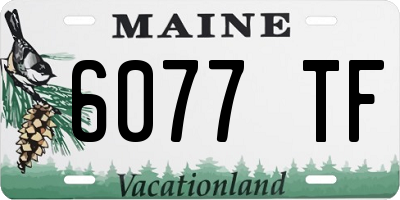 ME license plate 6077TF